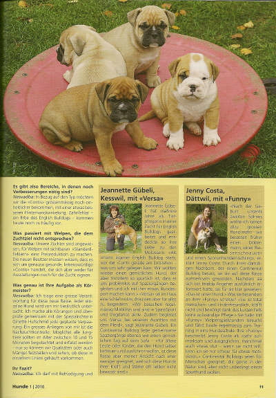 HundeganzerText