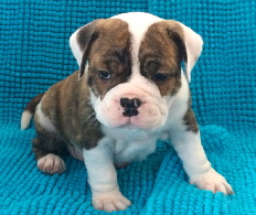 1-5week