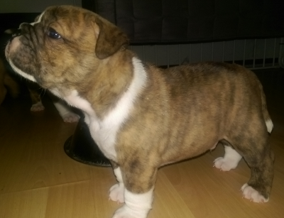 2-5week