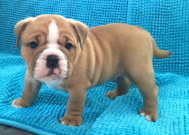 4-5week
